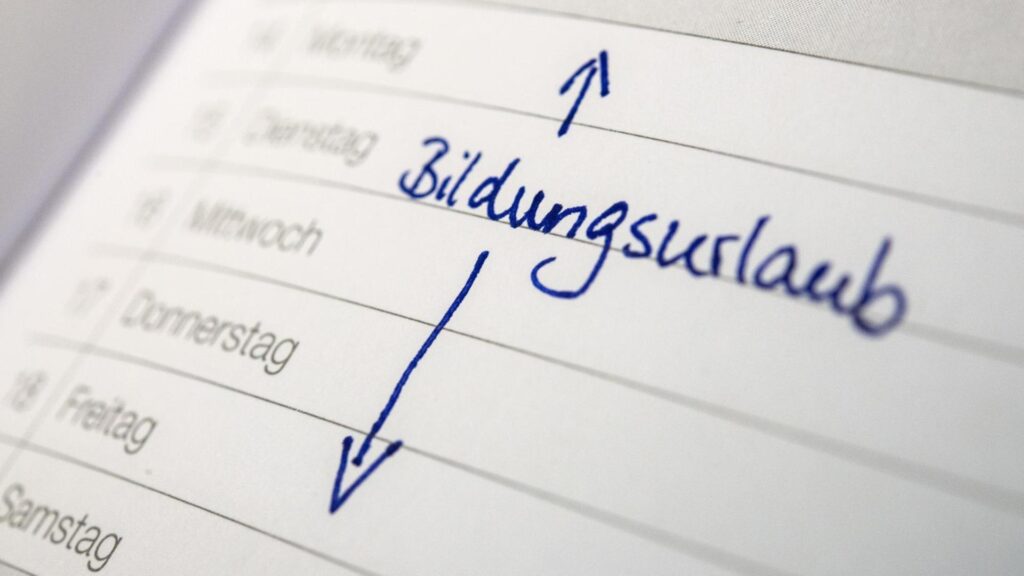 Dieses Bild hat ein leeres Alt-Attribut. Der Dateiname ist 82487095-jpg-100-1920x1080-1-1024x576.jpg